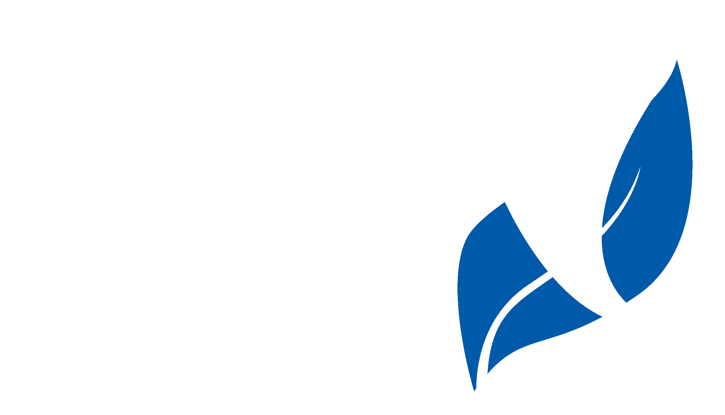 Logo-Natural-Human3